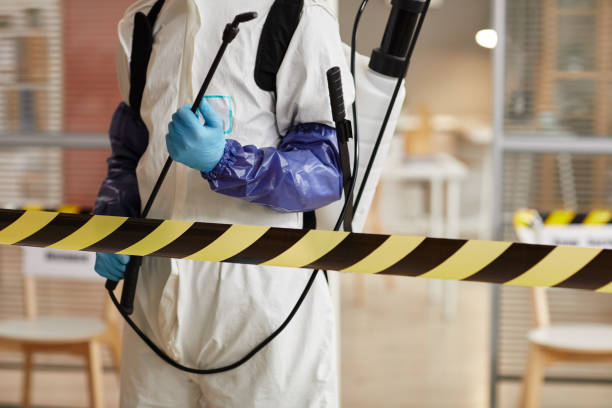 Professional Sewage Cleanup technician working in Pea Ridge, FL