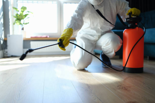 Reliable Sewage Cleanup contractor in Pea Ridge, FL by Dulley Family Biohazard Services